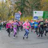 www.goleniow.pl