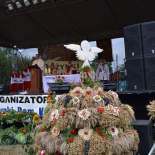www.goleniow.pl