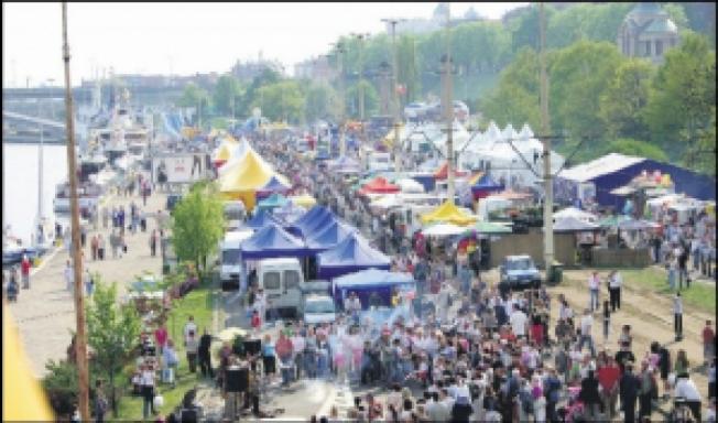 Piknik nad Odrą