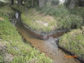 Straż Miejska w ubiegłym tygodniu (27.06. - 01.07.2012 r.)