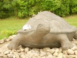 Piknik na Galapagos