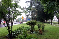 Cięcia tylko tam, gdzie to konieczne